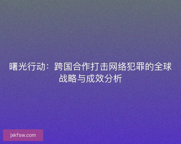 曙光行动：跨国合作打击网络犯罪的全球战略与成效分析